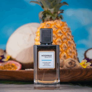 Fomowa Paris Moonwalk SeaCoco