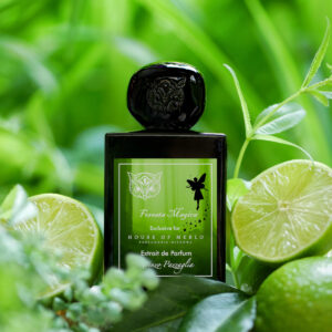 Lorenzo Pazzaglia Foresta Magica