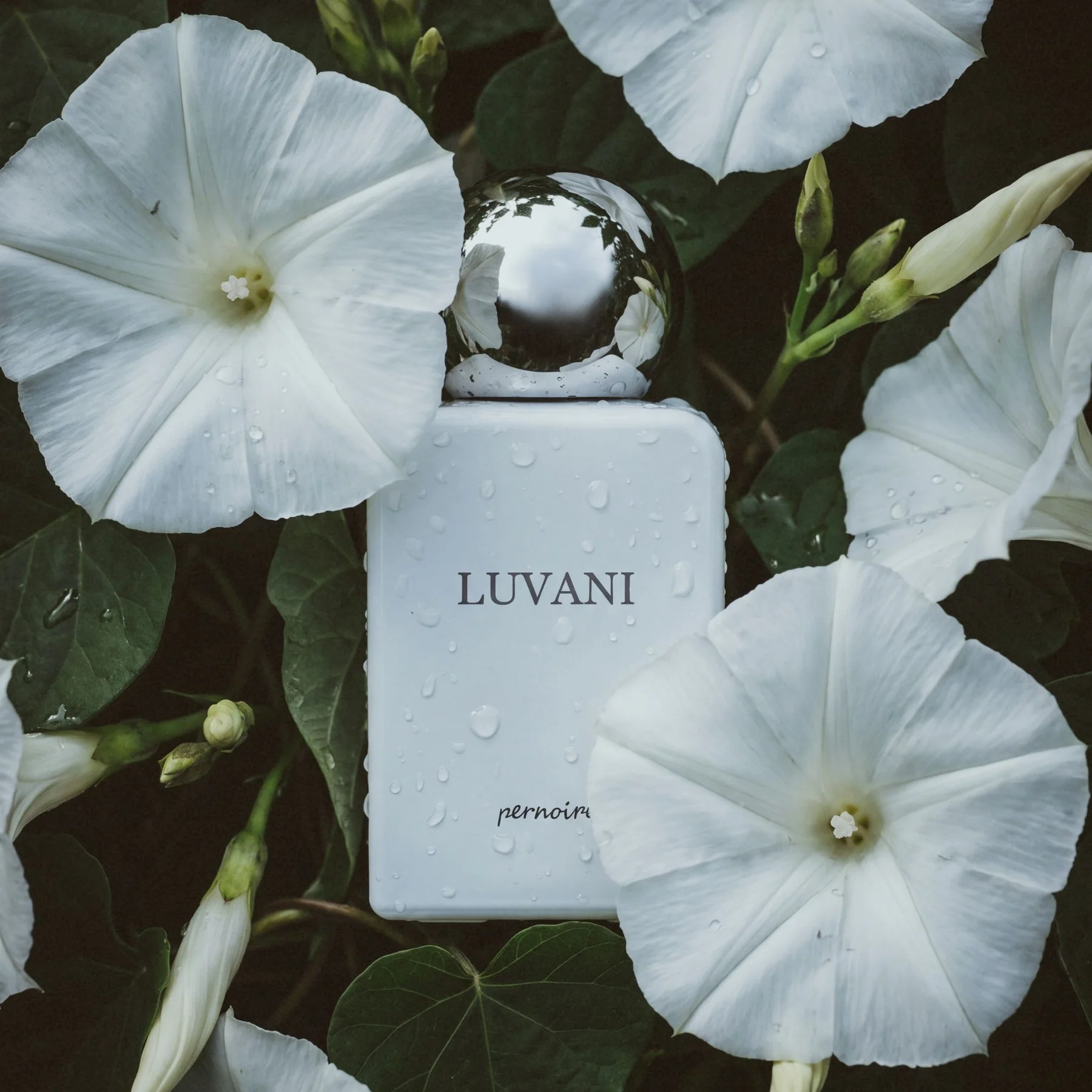Pernoire Luvani 50 ml